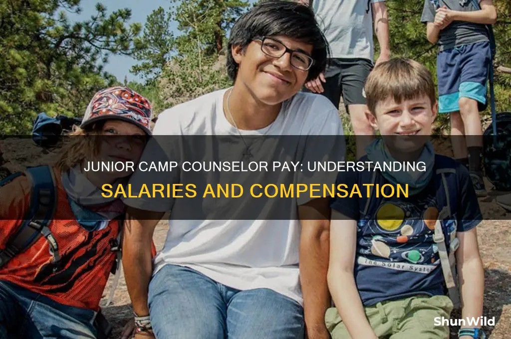 how much do junior camp counselors get paid