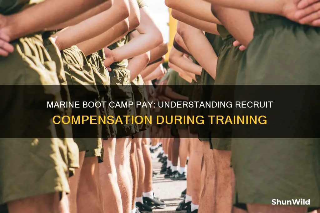 how much do marines get paid in boot camp