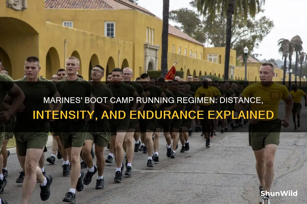 how much do marines run in boot camp