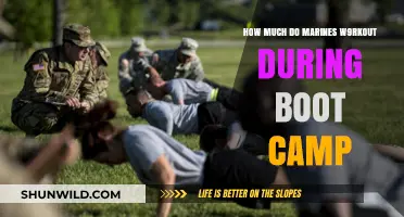 Marine Boot Camp Workout Intensity: Daily Physical Training Demands Revealed