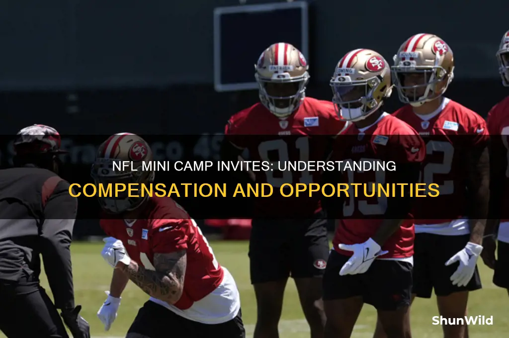 how much do nfl mini camp invites make