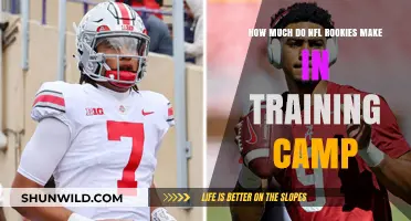 NFL Rookies' Training Camp Earnings: What to Expect