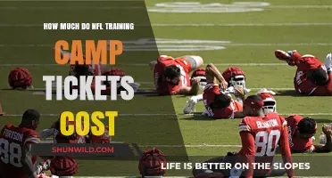 NFL Training Camp Ticket Prices: What Fans Should Expect
