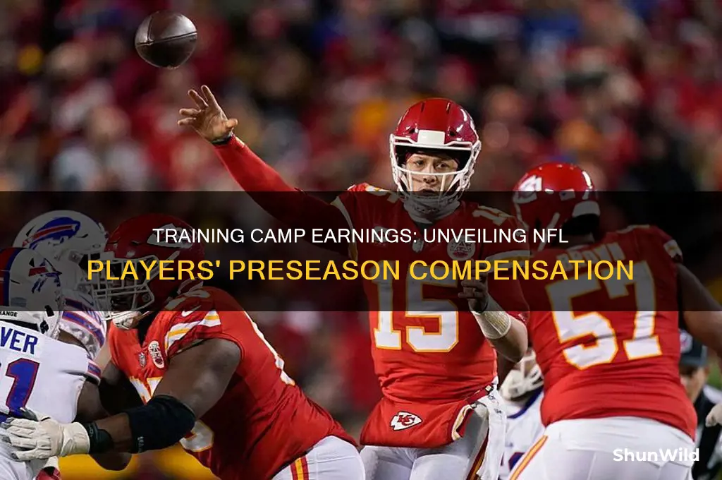 how much do players make during training camp