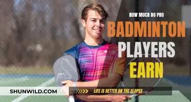 Badminton Pros: How Much Do They Earn?
