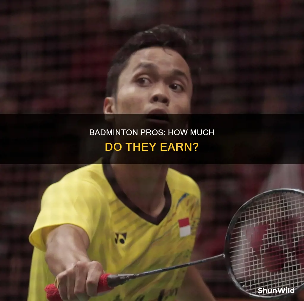 how much do pro badminton players earn