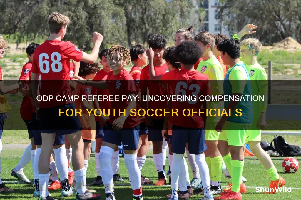 how much do referees get paid for odp camps