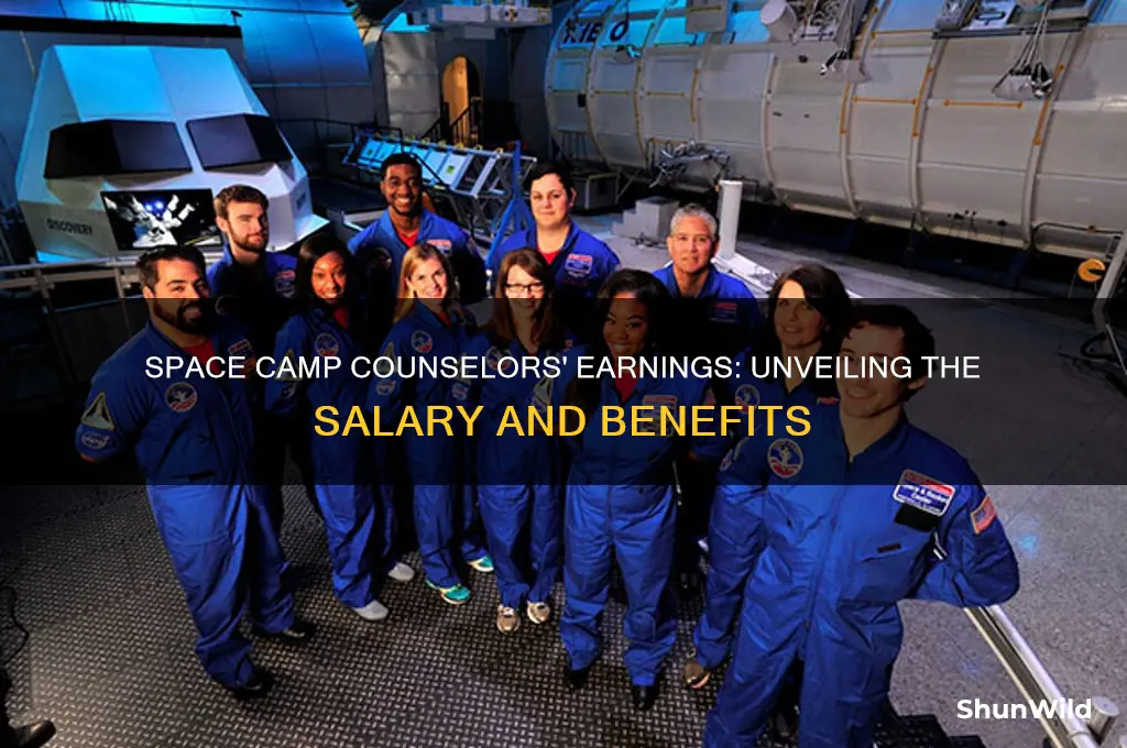 how much do space camp counselors make