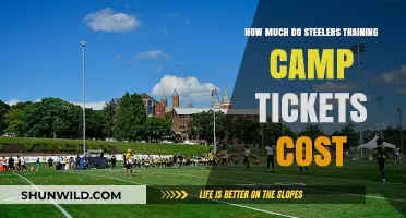Steelers Training Camp Tickets: Pricing Details and Purchase Guide