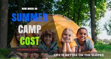 Summer Camp Costs: Budgeting for Your Child's Adventure