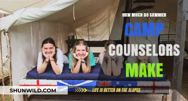 Summer Camp Counselor Salaries: What to Expect and How to Earn More