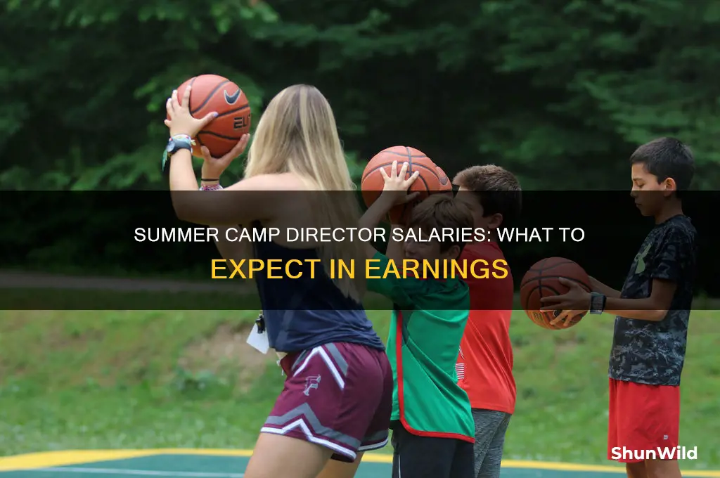 how much do summer camp directors make