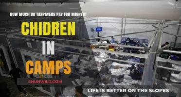 Taxpayer Costs for Migrant Children in Detention Camps: A Breakdown