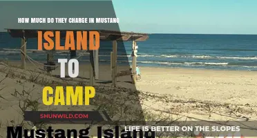 Mustang Island Camping Costs: What to Expect for Your Adventure