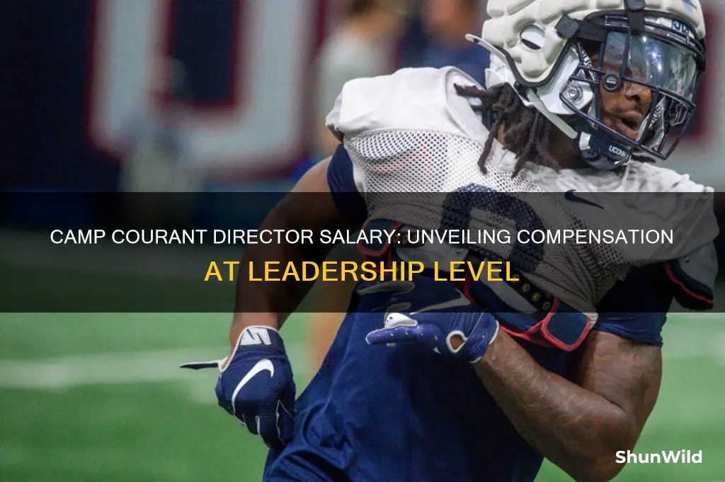 how much do they pay at camp courant director levedl