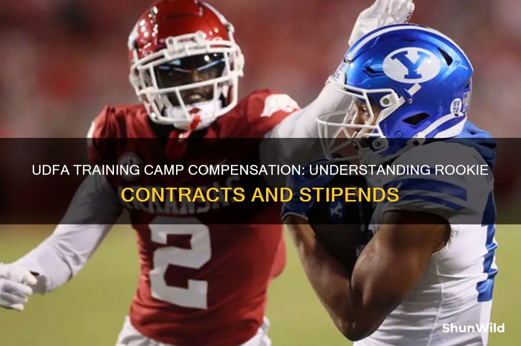 how much do udfa get in training camp