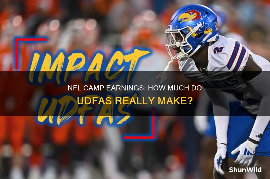 how much do udfas make in nfl camp