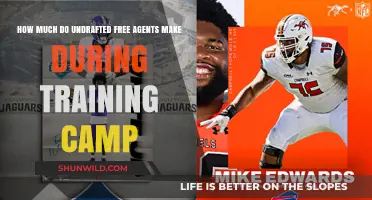 Undrafted Free Agents' Training Camp Earnings: What to Expect