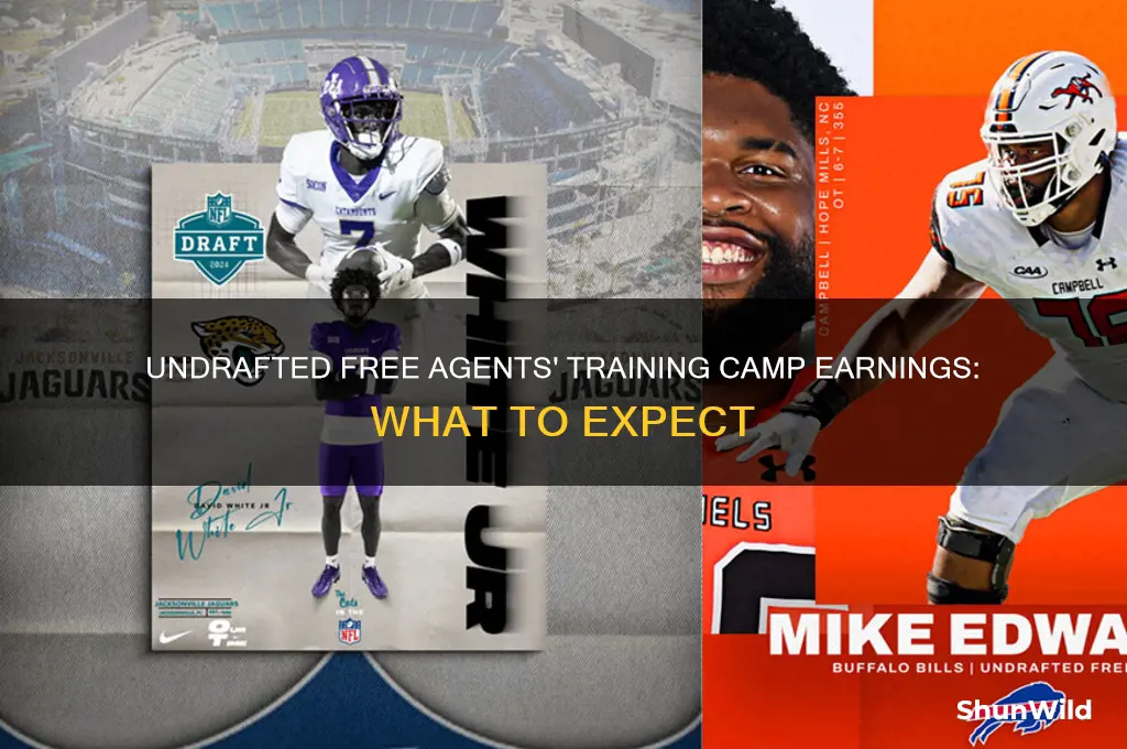 how much do undrafted free agents make during training camp
