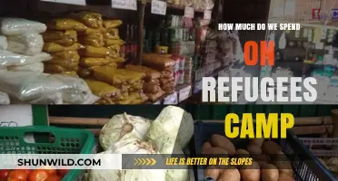 Understanding the Financial Costs of Refugee Camps Worldwide