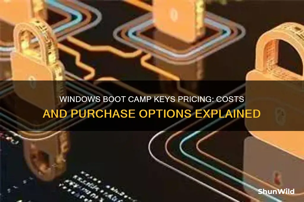how much do windows boot camp keys cost