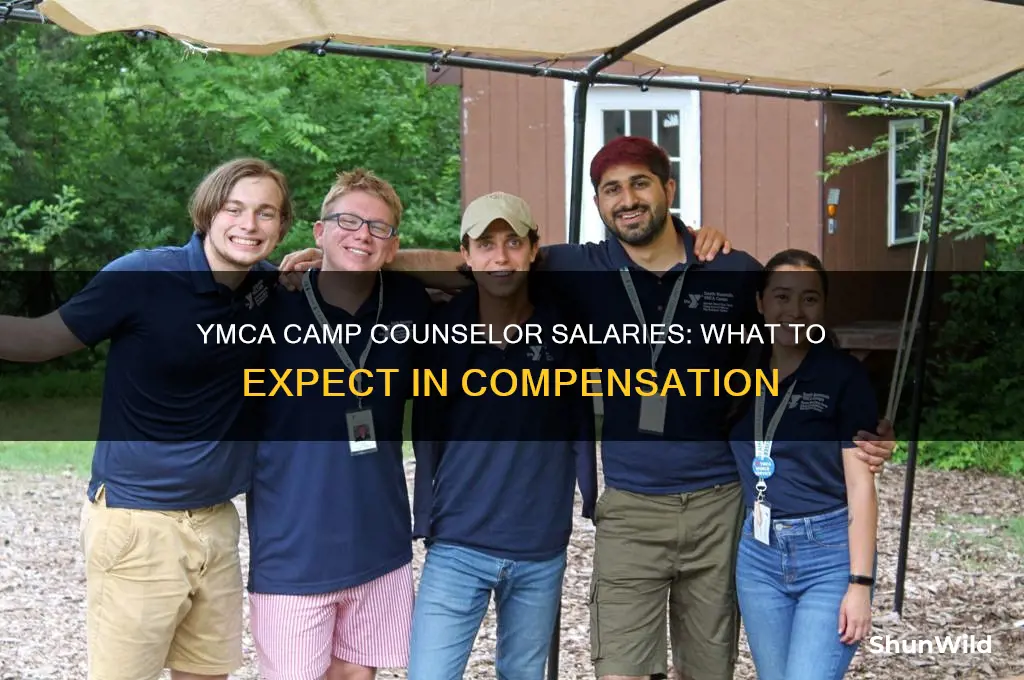 how much do ymca camp counselors get paid