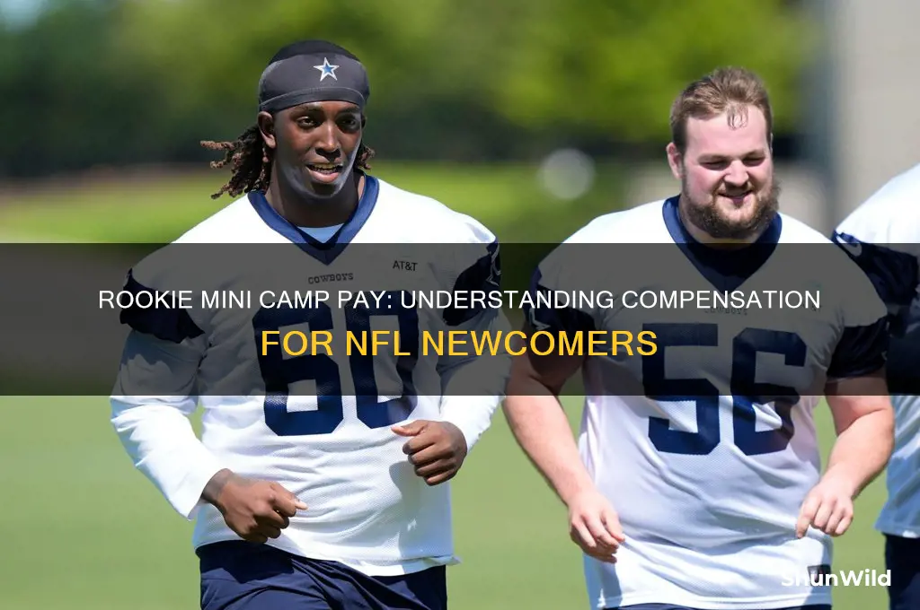 how much do you get paid for rookie mini camp