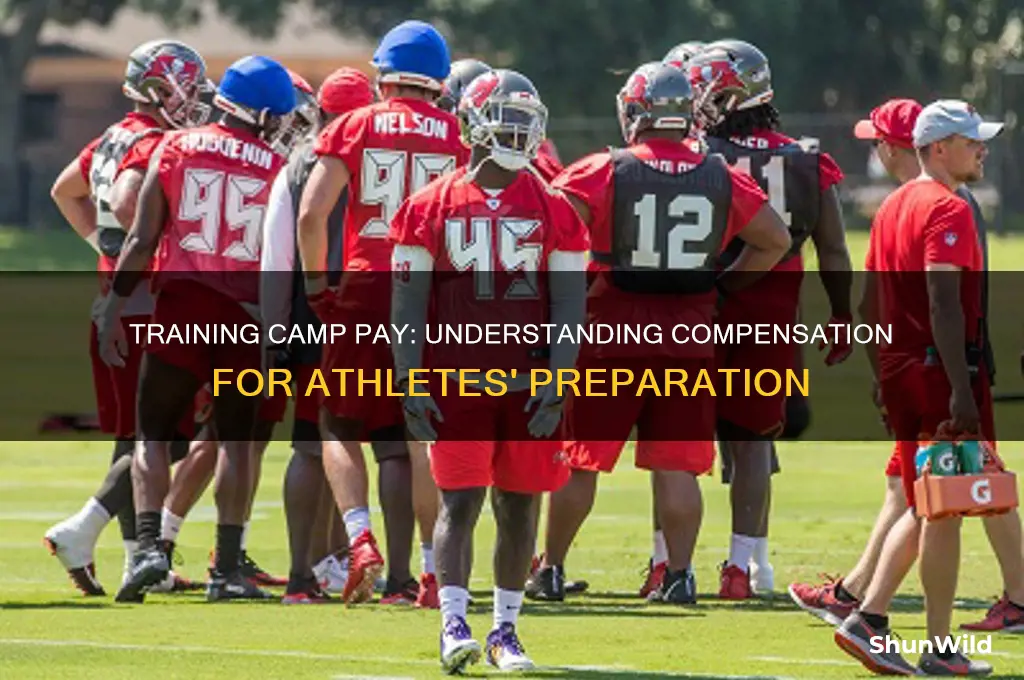 how much do you get paid for training camp