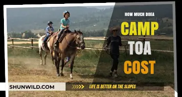 Camp Toa Cost Breakdown: Budgeting for Your Adventure
