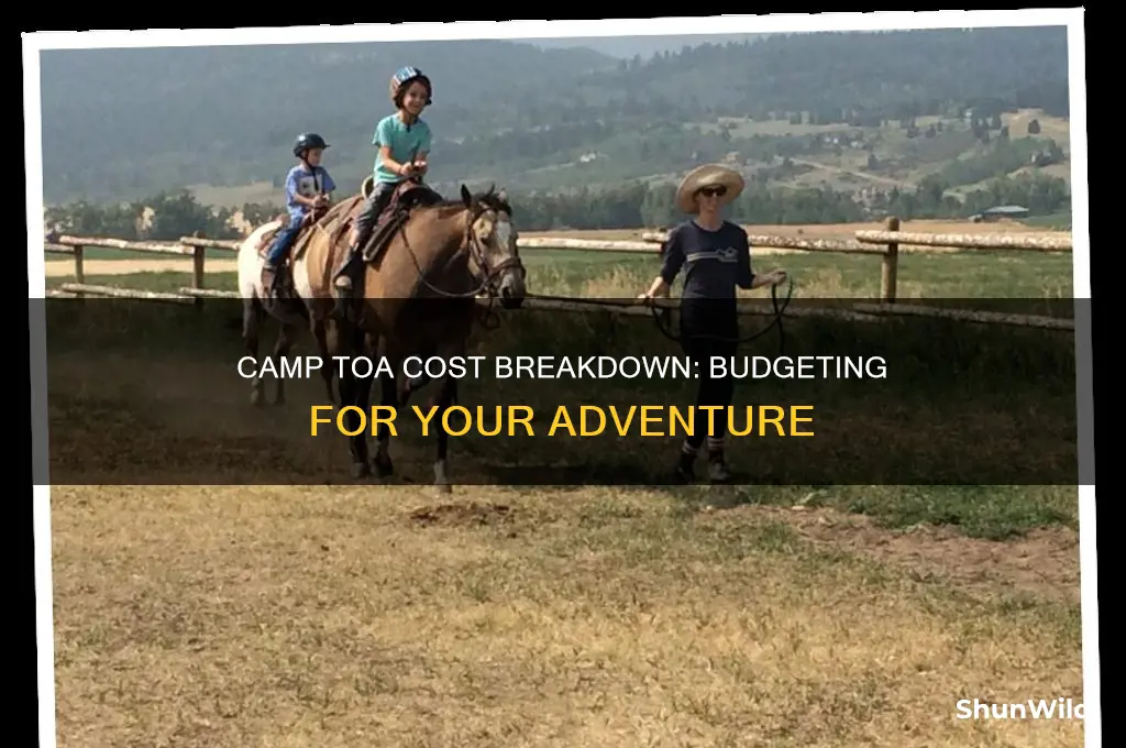 how much doea camp toa cost