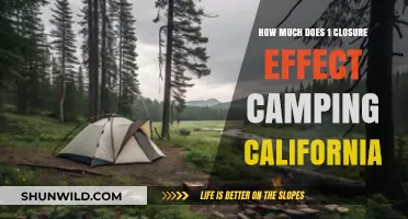 How One Closure Impacts Camping in California: A Detailed Look