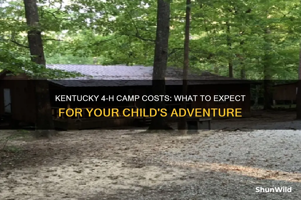 how much does 4 h camp cost in ky