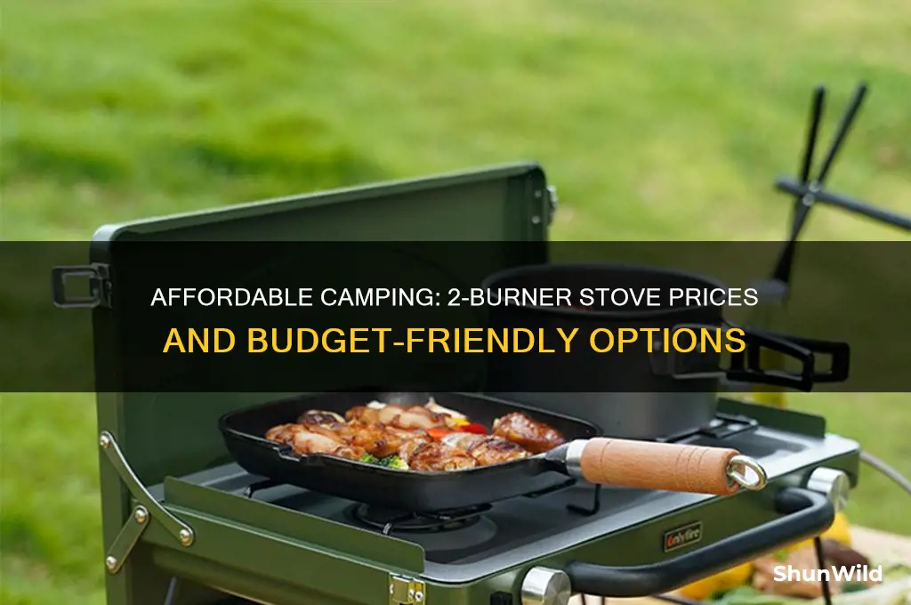 how much does a 2 burner camp stove cost