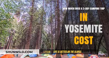 Yosemite Camping Trip Budget: 3-Day Adventure Cost Breakdown