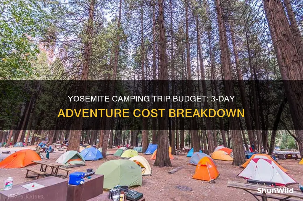 how much does a 3-day camping trip in yosemite cost