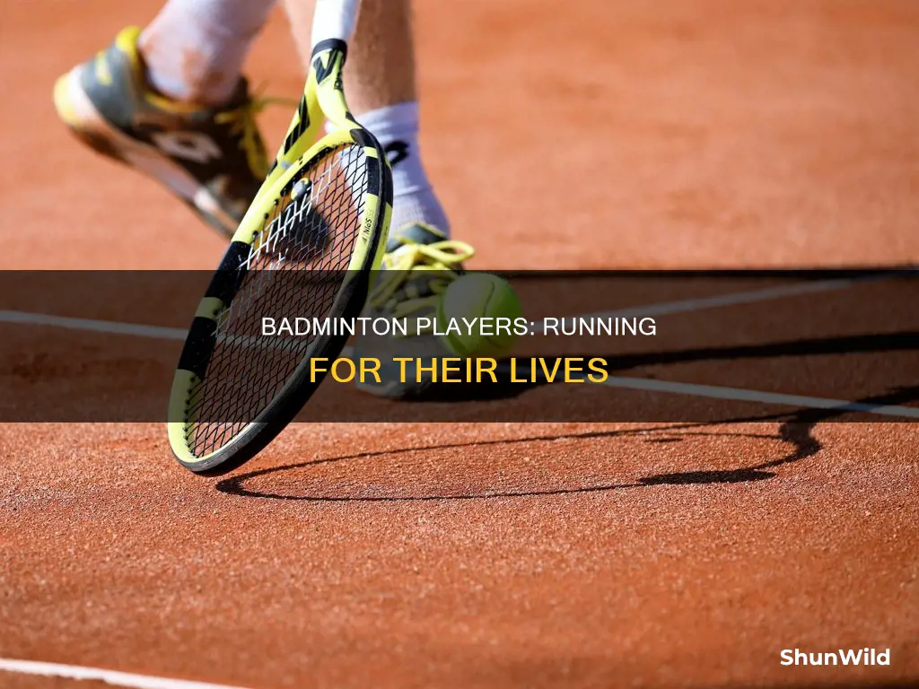 how much does a badminton player run