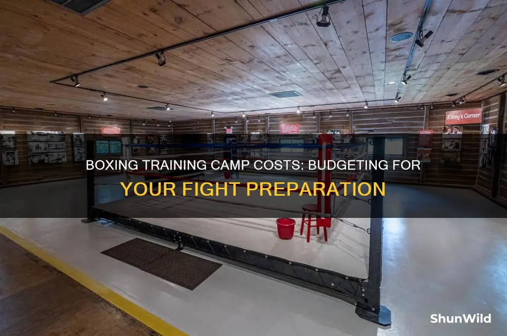 how much does a boxing training camp cost