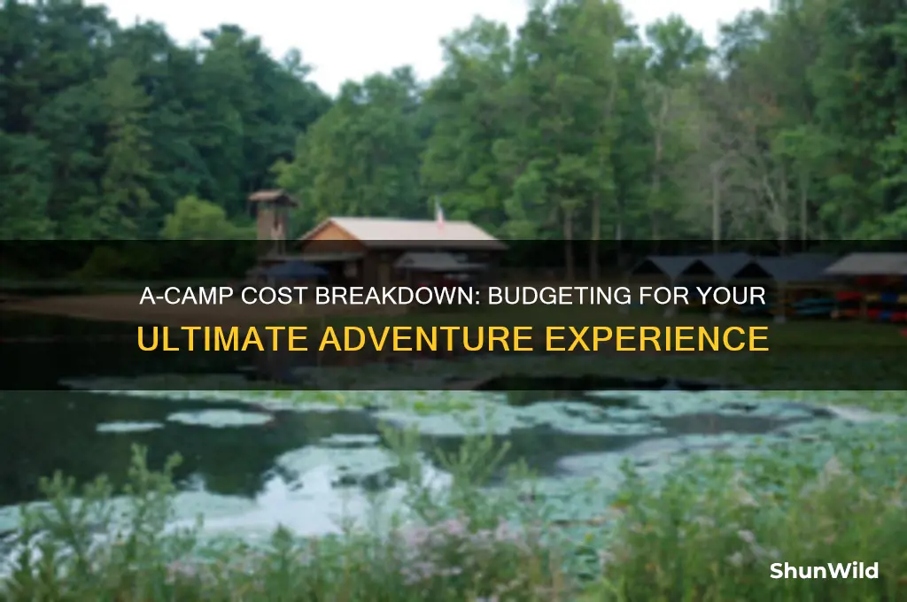 how much does a-camp cost