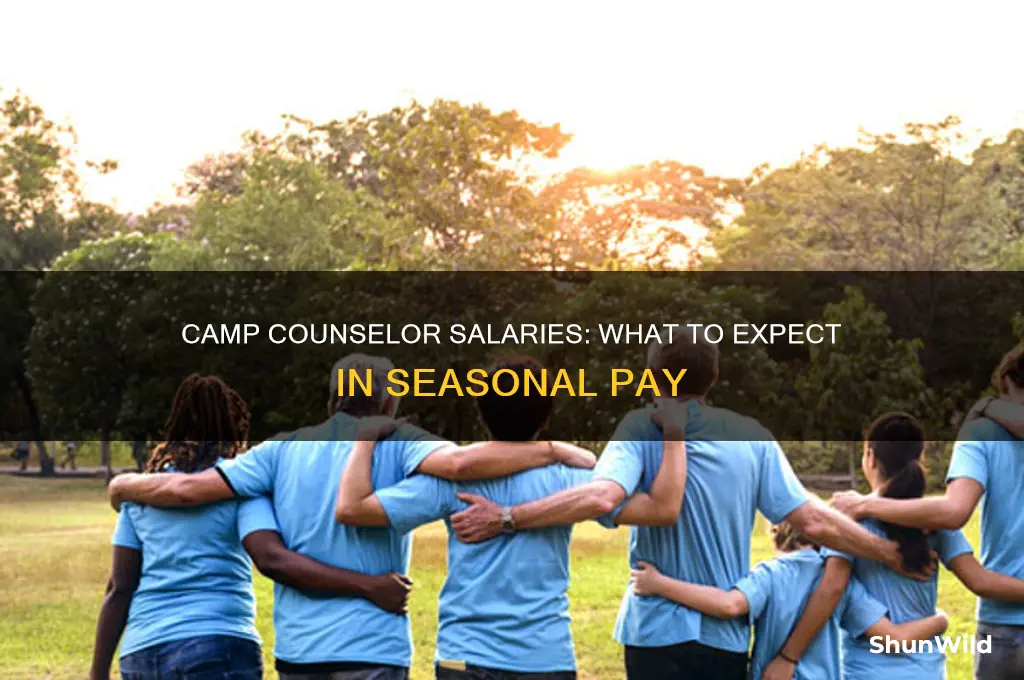 how much does a camp counselor get paid