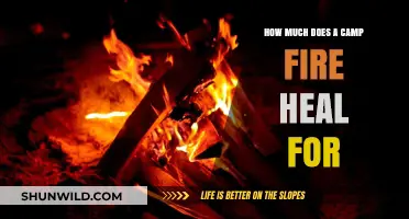 Campfire Healing: Unveiling the Restorative Power of a Cozy Blaze