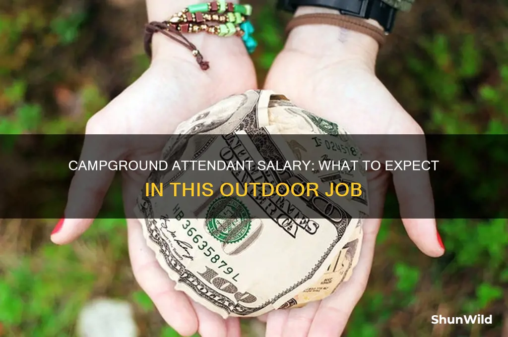 how much does a camp ground attendent job pay