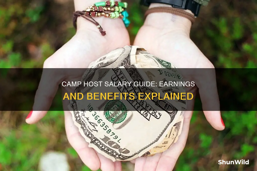 how much does a camp host make