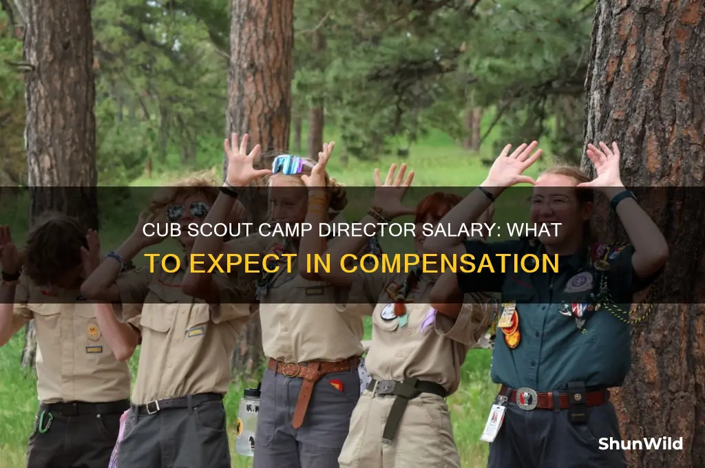 how much does a cub scout camp director pay