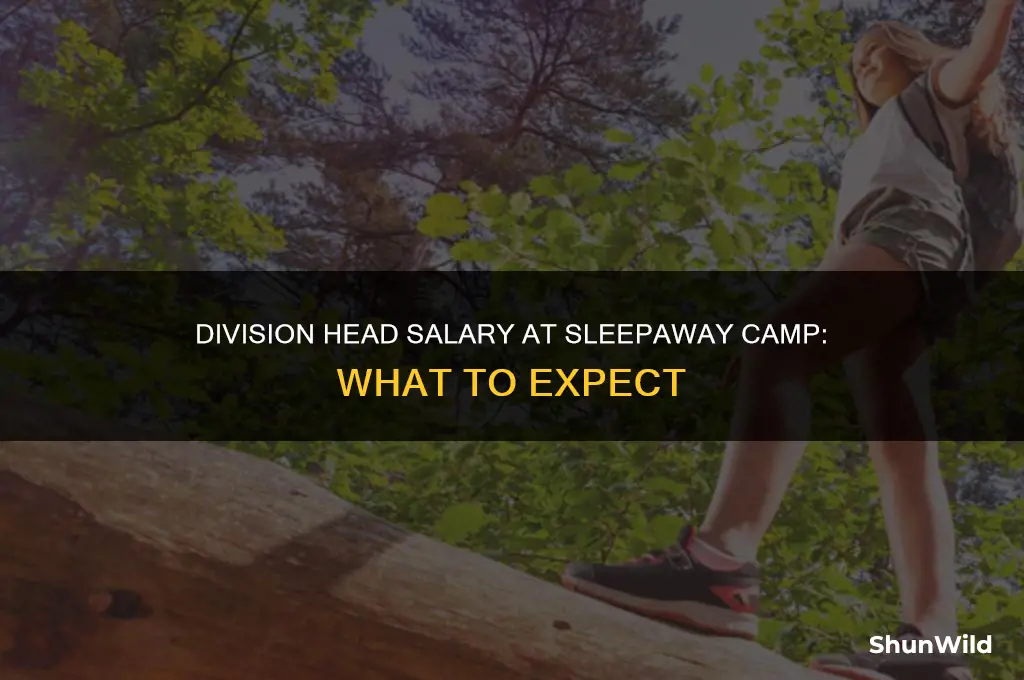 how much does a division head at sleepaway camp warm