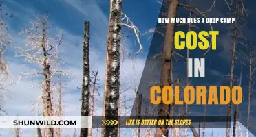 Colorado Drop Camp Costs: Budgeting Your Backcountry Adventure