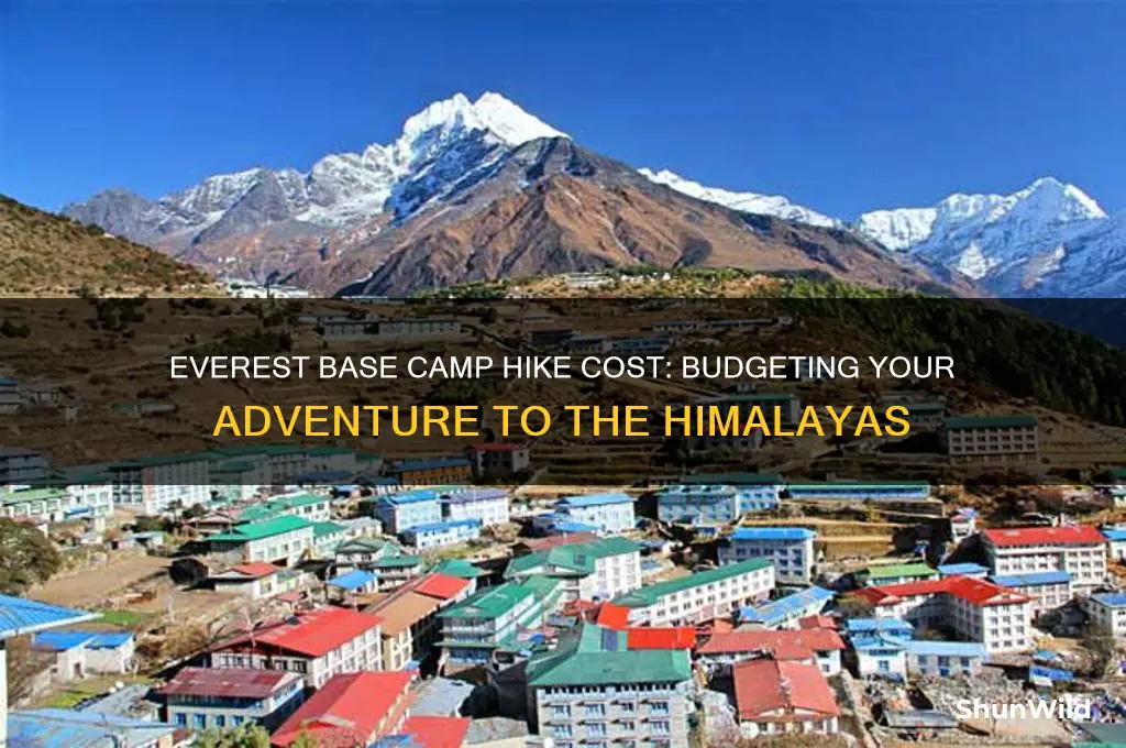 how much does a hike to everest base camp cost