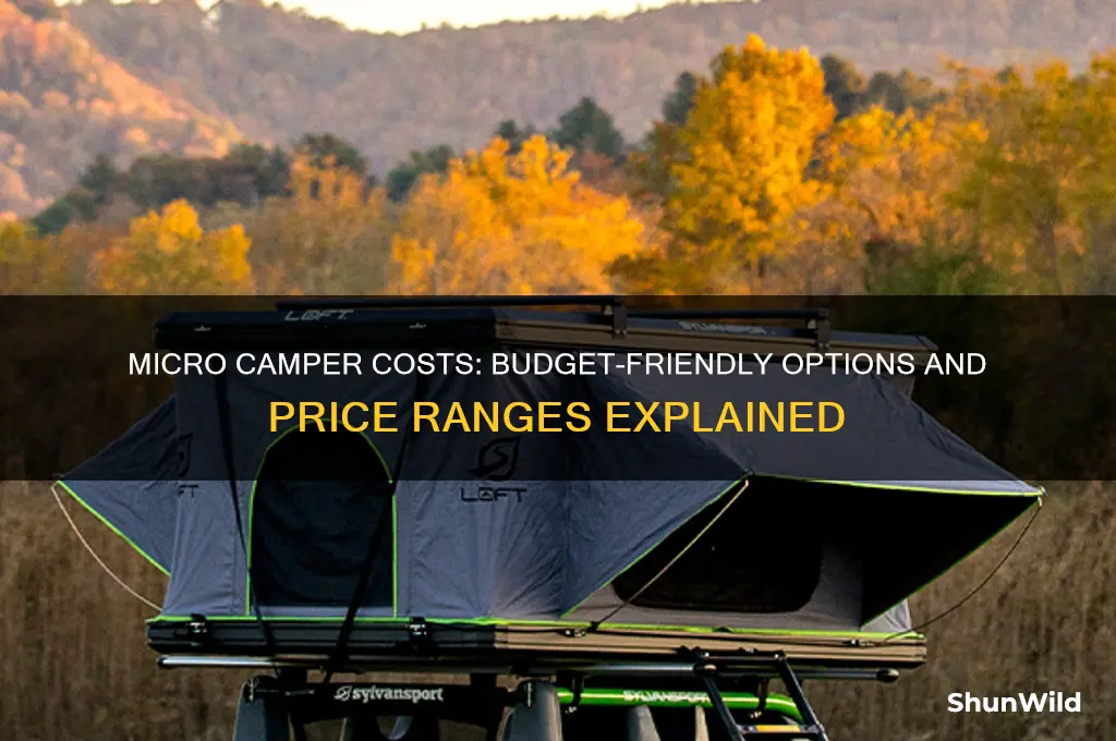 how much does a micro camper cost