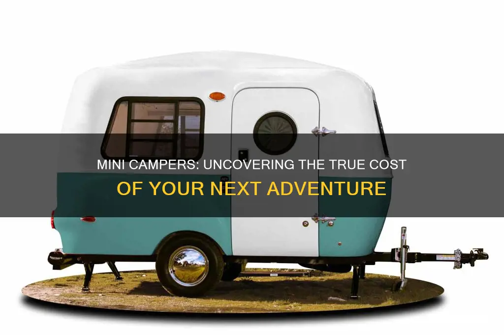 how much does a mini campe cost