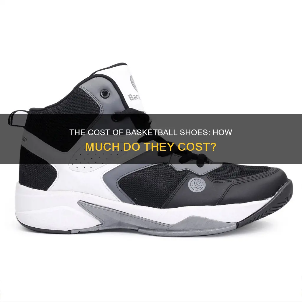 how much does a pair of basketball shoes cost
