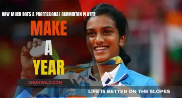 Earnings of Top Badminton Players: Revealing the Figures